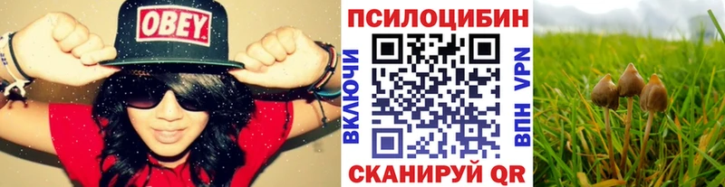 Галлюциногенные грибы Magic Shrooms  площадка клад  Пучеж 